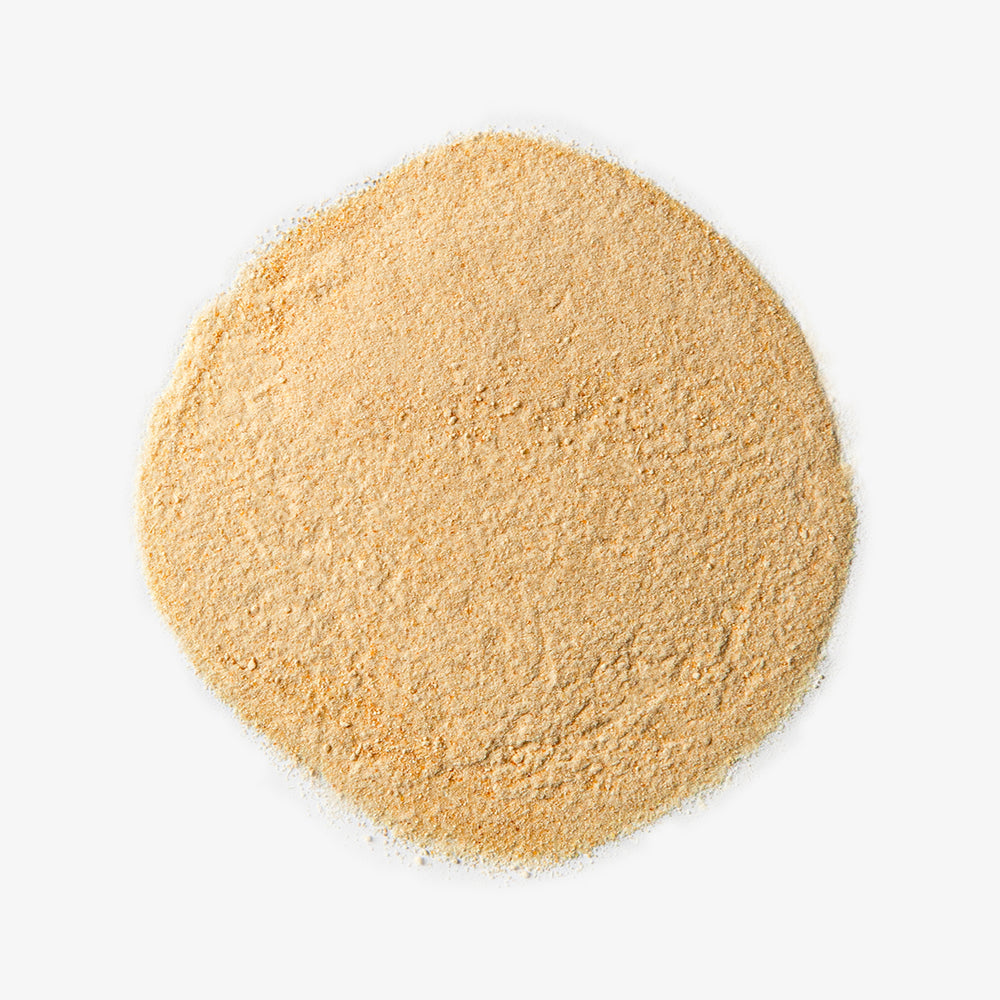 Freeze Dry Mango Powder