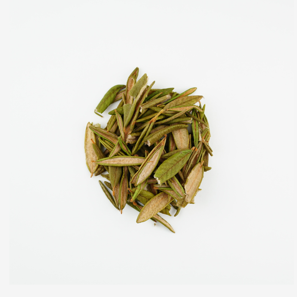 Labrador Tea – Zyo